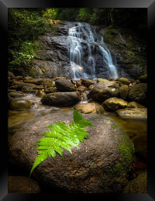 Jungle Waterfall Framed Print by Jan Venter