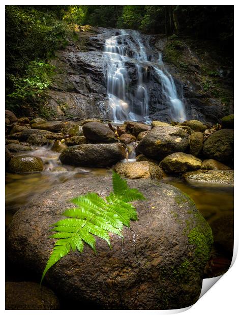 Jungle Waterfall Print by Jan Venter