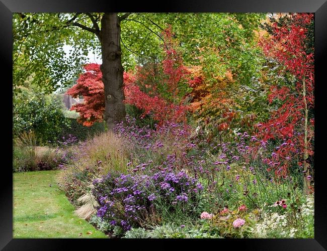 English Autumn Garden  Framed Print by Victor Burnside