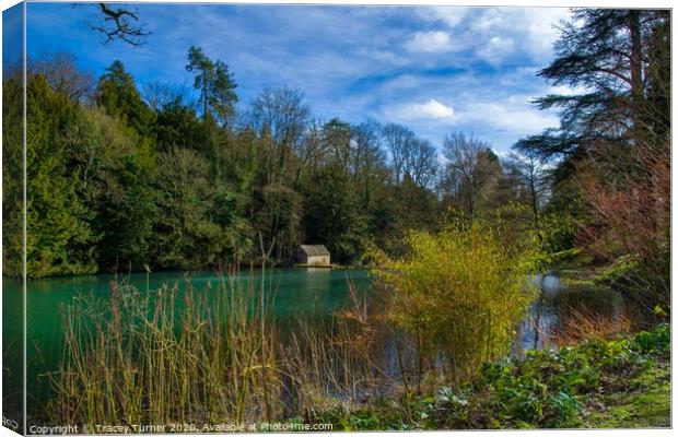 Lake View at Colesbourne Gardens  Canvas Print by Tracey Turner