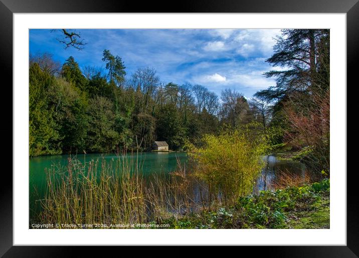 Lake View at Colesbourne Gardens  Framed Mounted Print by Tracey Turner