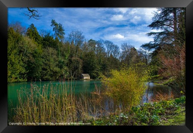 Lake View at Colesbourne Gardens  Framed Print by Tracey Turner