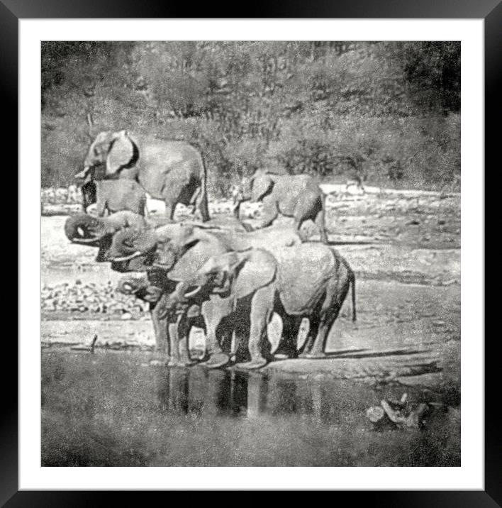 elephant's day out Framed Mounted Print by dale rys (LP)