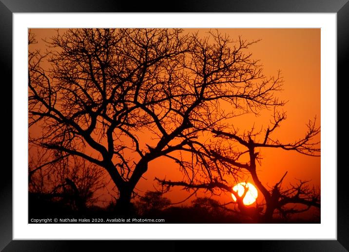 Sundown on Safari Framed Mounted Print by Nathalie Hales