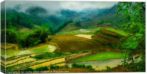 Rice Paddies and hikers Canvas Print by Jan Venter