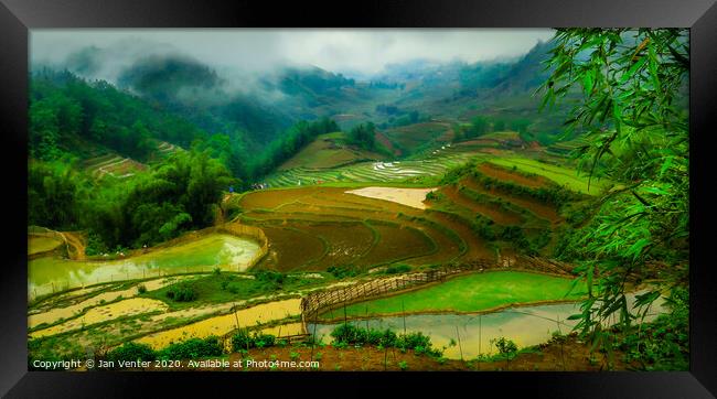Rice Paddies and hikers Framed Print by Jan Venter