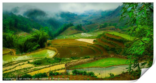 Rice Paddies and hikers Print by Jan Venter