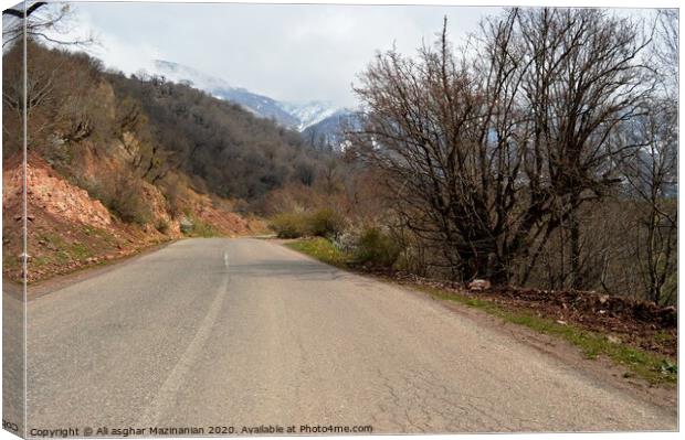 Outdoor road Canvas Print by Ali asghar Mazinanian