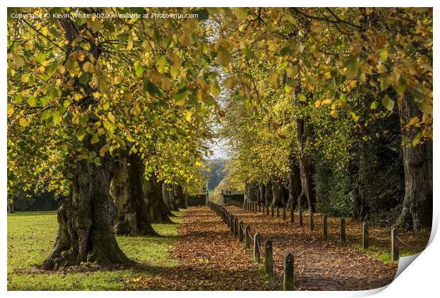 Polesden Lacey autumn walk Print by Kevin White