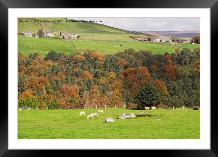 Hardcastle Crags from Heptonstall. Framed Mounted Print by David Birchall