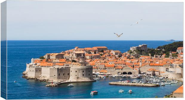 Sea gulls over the old town of Dubrovnik Canvas Print by Jason Wells