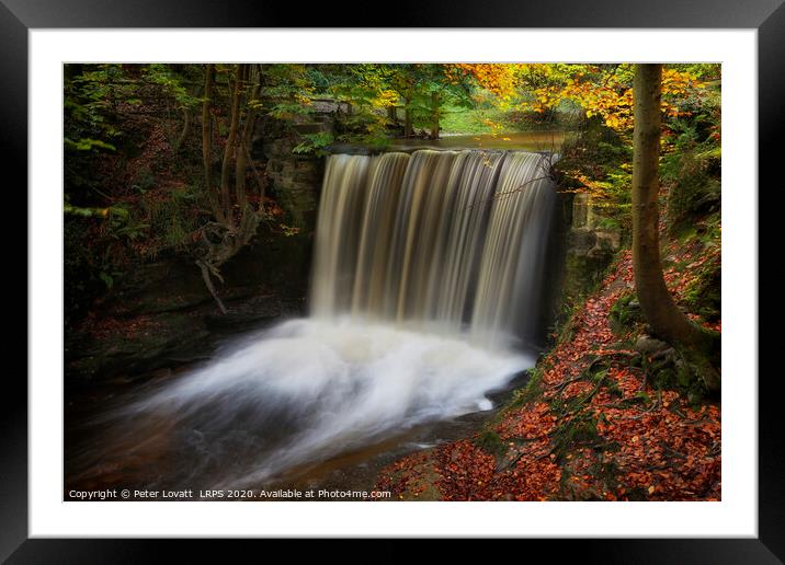 Autumn at Big Weir, Clywedog Valley Framed Mounted Print by Peter Lovatt  LRPS