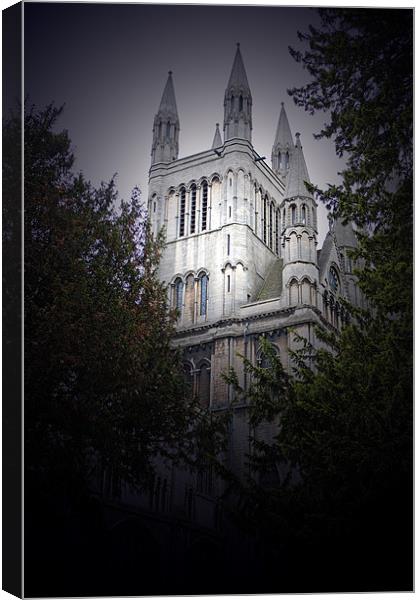 Cathedral Canvas Print by Ian Jeffrey