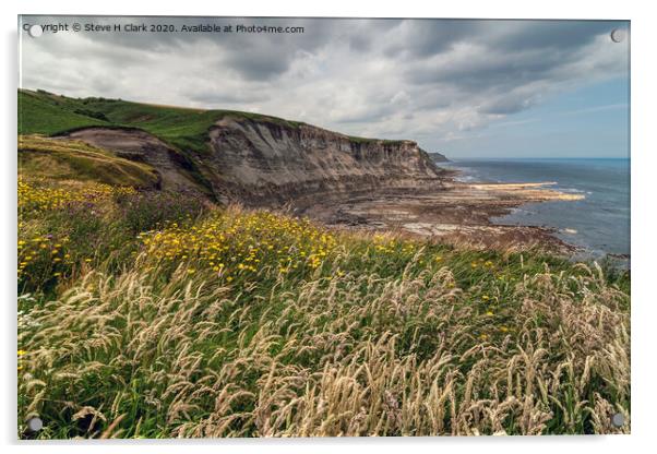 North Yorkshire Coastal Path Acrylic by Steve H Clark