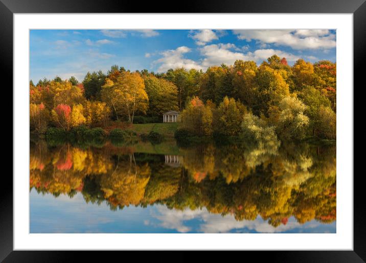 Clumber Park in the Autumn Framed Mounted Print by Darren Ball