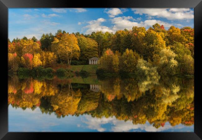 Clumber Park in the Autumn Framed Print by Darren Ball