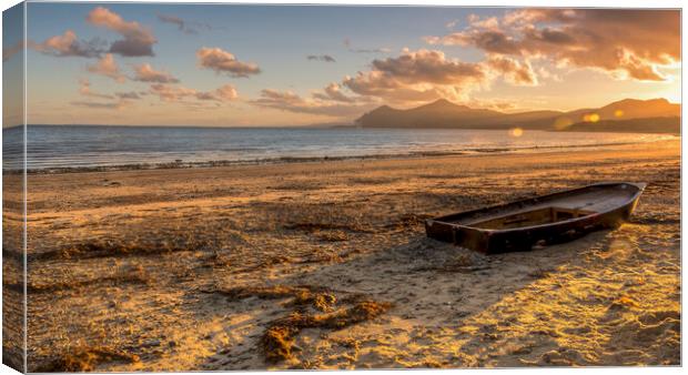 Beached Canvas Print by Darren Ball