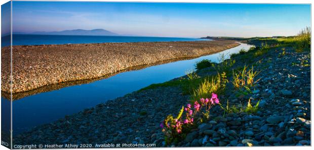 Still Morning on the Solway Canvas Print by Heather Athey