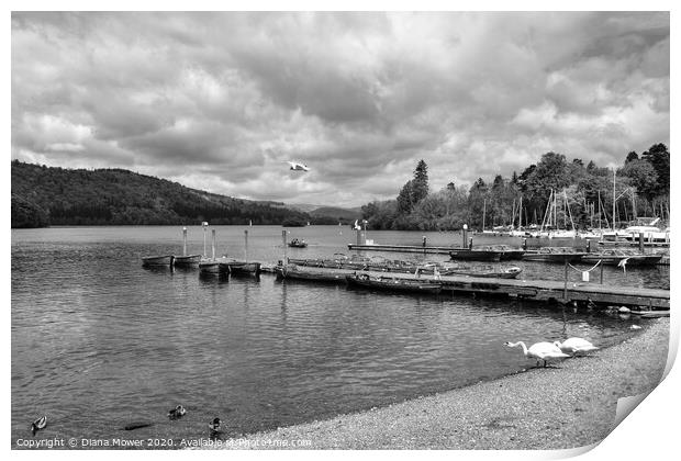 Lake Windermere at Bowness Print by Diana Mower