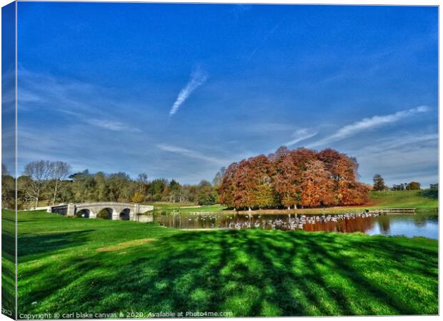 bladon bridge Canvas Print by carl blake