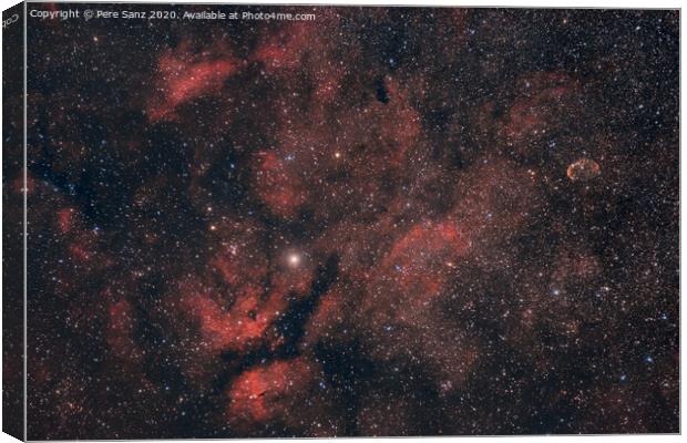 Red Nebulosity arroud Sadr in the Constellation of Cygnus Canvas Print by Pere Sanz