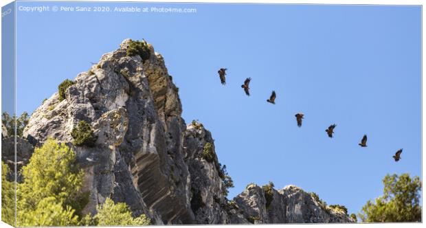 Sequence Showing the Flight of a Vulture Taking off from a Rocky Promontory Canvas Print by Pere Sanz