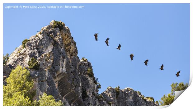 Sequence Showing the Flight of a Vulture Taking off from a Rocky Promontory Print by Pere Sanz