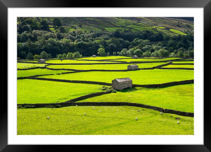 Fields and stone barns in Swaledale, North Yorkshire Framed Mounted Print by Andrew Kearton