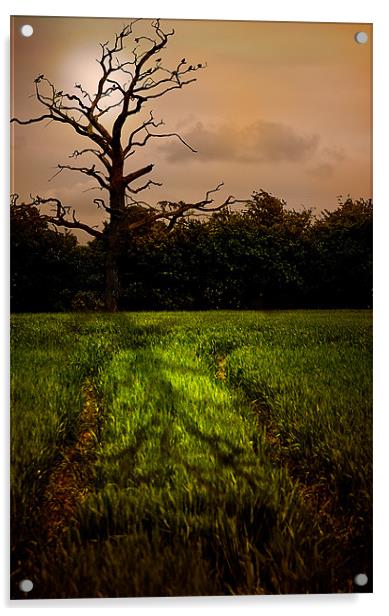 Sleepy Hollow Acrylic by Lee Morley