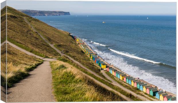 Zig zagging paths above Whitby sands Canvas Print by Jason Wells