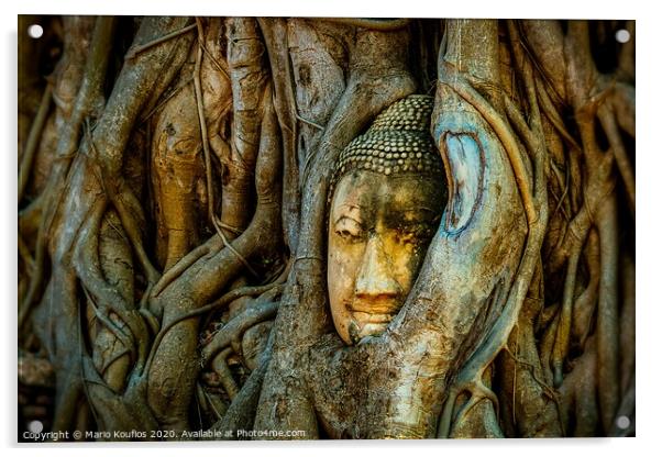 Old Buddha in a tree Ayutthaya Thailand Acrylic by Mario Koufios