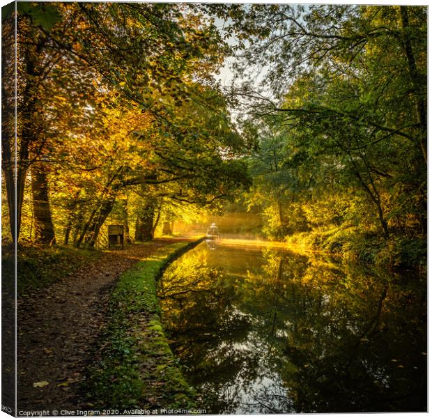 Autumn gold Canvas Print by Clive Ingram