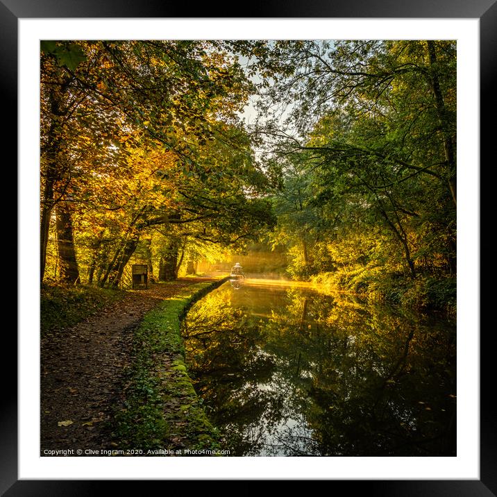 Autumn gold Framed Mounted Print by Clive Ingram