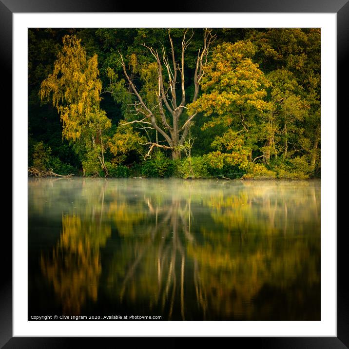 Reflections of autumn Framed Mounted Print by Clive Ingram