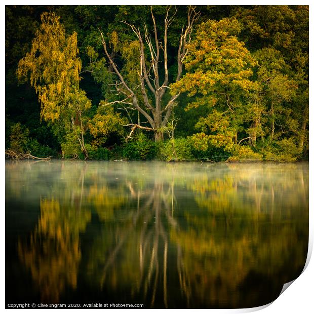 Reflections of autumn Print by Clive Ingram