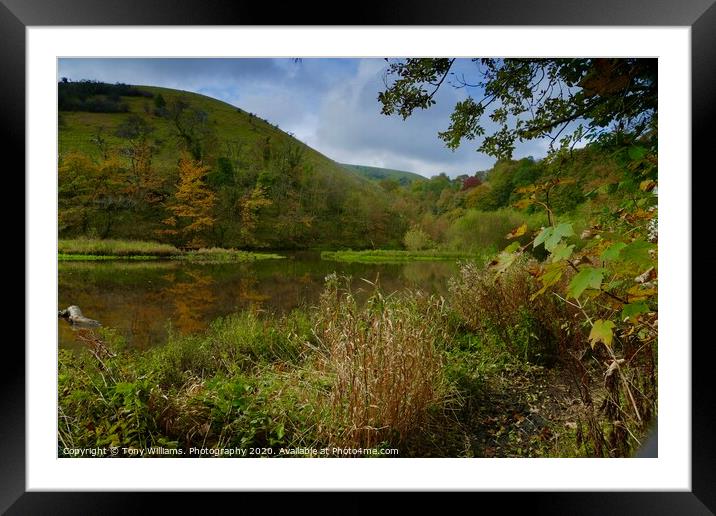 Autumn Walk Framed Mounted Print by Tony Williams. Photography email tony-williams53@sky.com