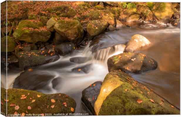 Padley Gorge Canvas Print by Holly Burgess