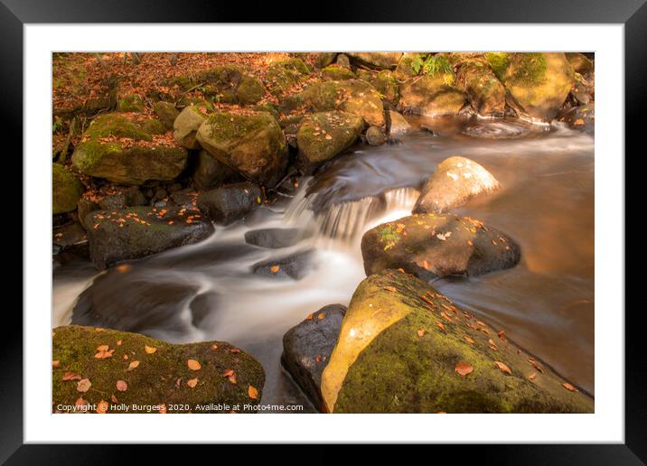 Padley Gorge Framed Mounted Print by Holly Burgess