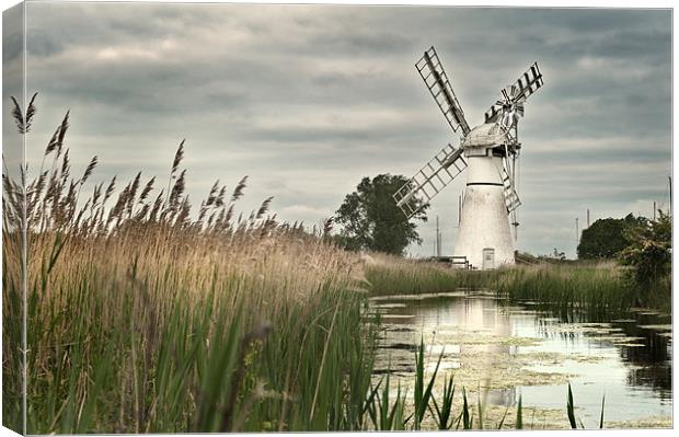 Thurne Mill Canvas Print by Stephen Mole