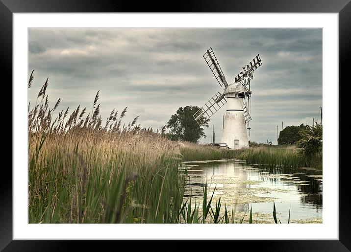 Thurne Mill Framed Mounted Print by Stephen Mole