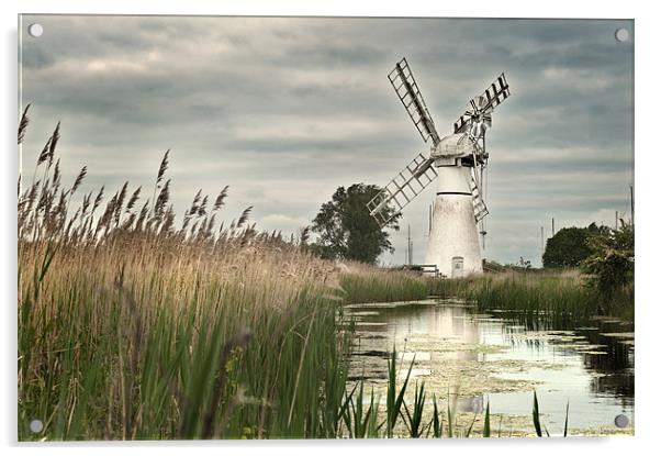 Thurne Mill Acrylic by Stephen Mole