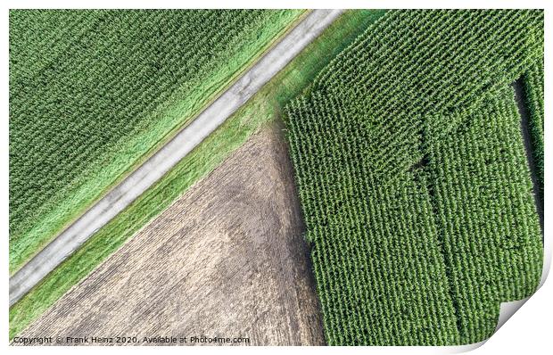 Aerial photograph of a harvested arable land next to a maize field Print by Frank Heinz