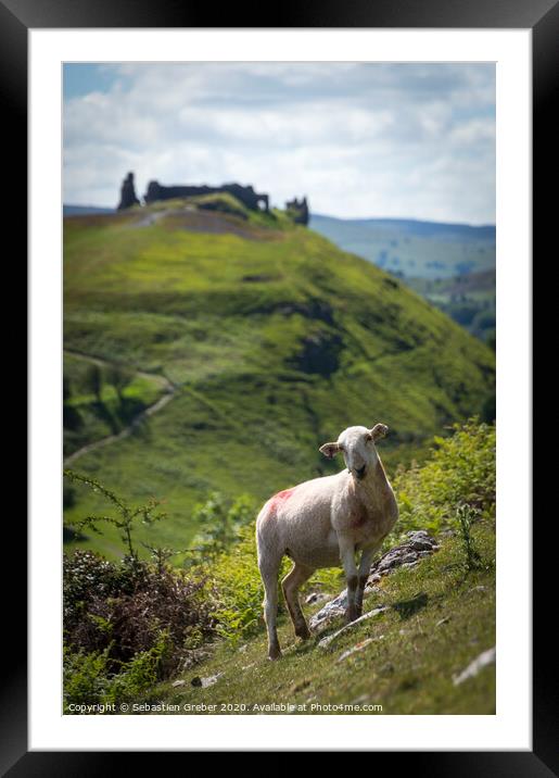 Curious sheep in front of Dinas Bran Llangollen Framed Mounted Print by Sebastien Greber