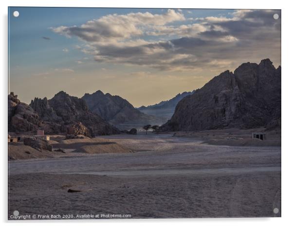 Sinai desert close to sunset Acrylic by Frank Bach