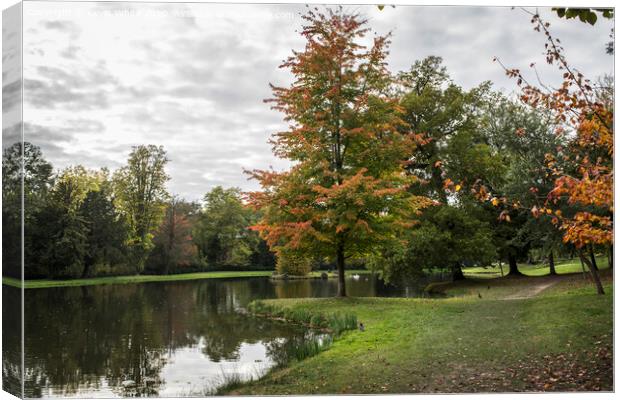 Pains Hill in the autumn Canvas Print by Kevin White