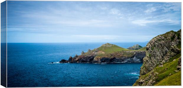 The Rumps Pentire Head Canvas Print by David Wilkins