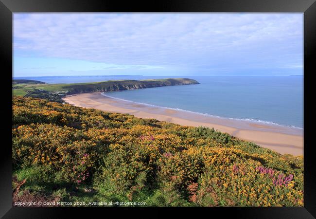 Baggy Point and Putsborough Beach from Woolacombe Down Framed Print by David Morton