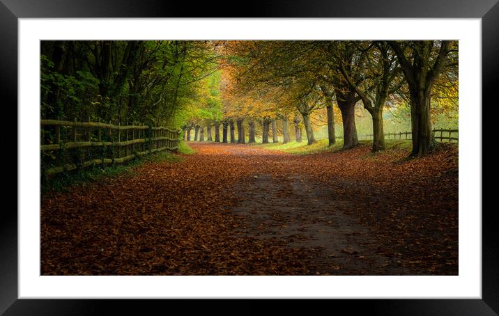 Autumn  Framed Mounted Print by Lubos Fecenko