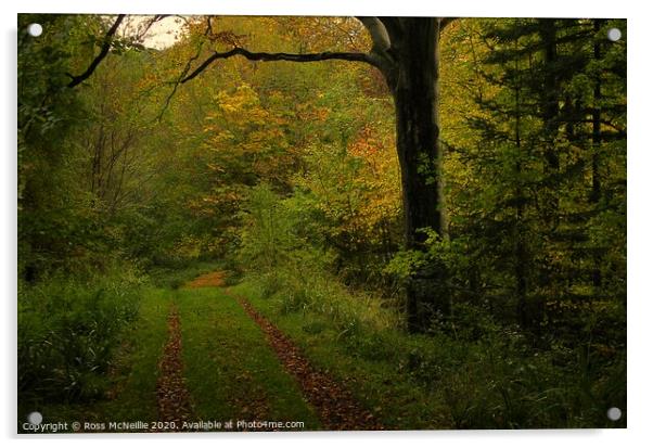 Autumn Trail Acrylic by Ross McNeillie