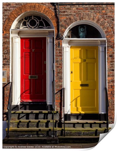 Liverpool Hope Street doors Print by Andrew Davies